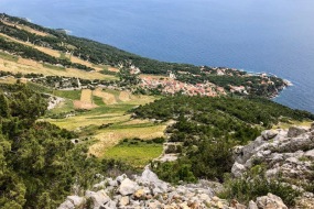 CBF36EDA-B5FD-424C-AD13-A3C433389A73