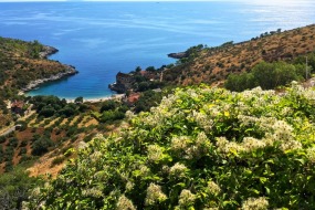 croatia_self_guided_walking_dalmatia_life_adventures