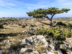 croatia_trail_running_holiday_tour