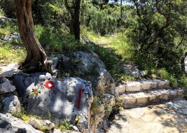 vis_island_croatia_hiking_tour